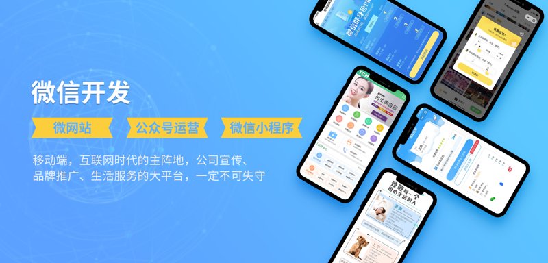 成都软件开发：在数字时代乘风破浪
